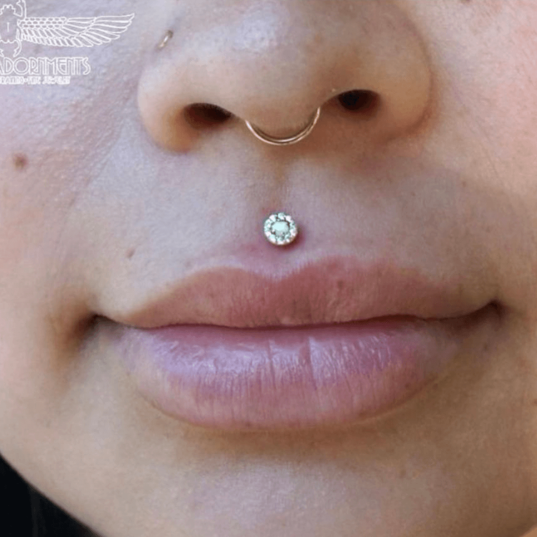 andrea hauer recommends smallest medusa piercing pic