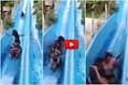 Best of porn alia janine cheung yan share waterslide tits photos