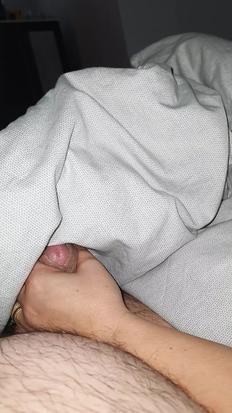 dan ciraulo recommends handjob under blanket pic