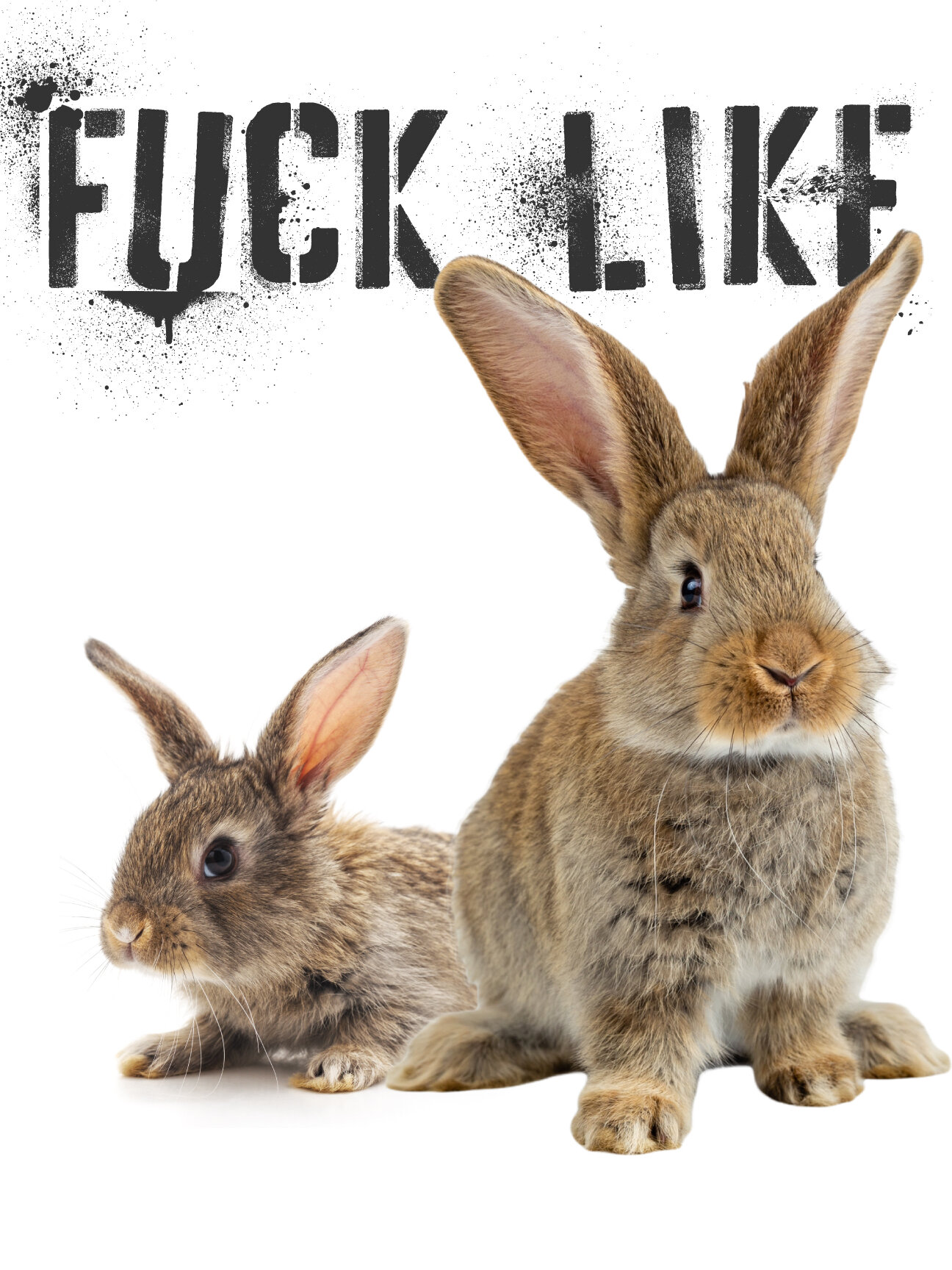 delricas jones recommends fucking like rabbits pic