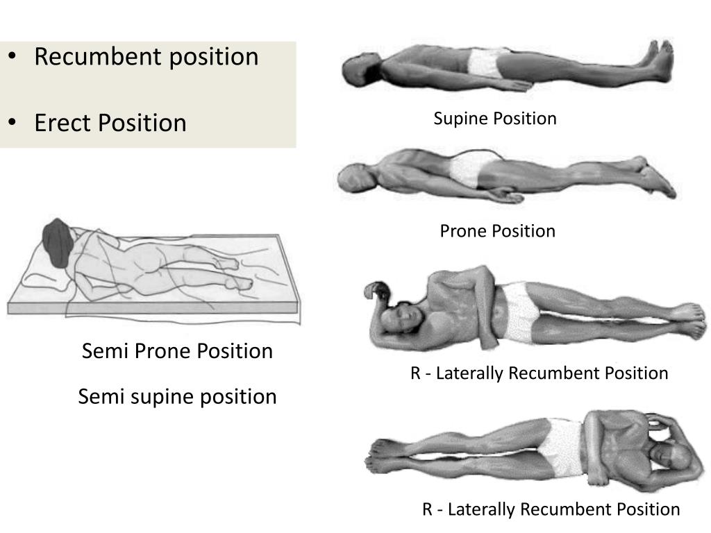 renata dancewicz nude andrew hilts recommends Prone Bone Pose