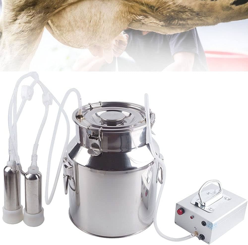 cock milking machine the room cock milking machine
