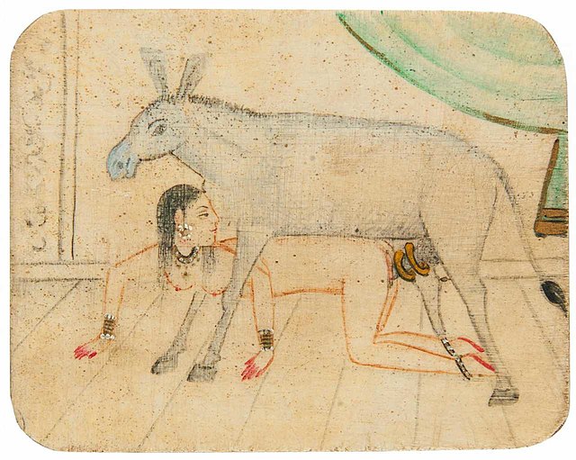 Best of Donkey sexxx