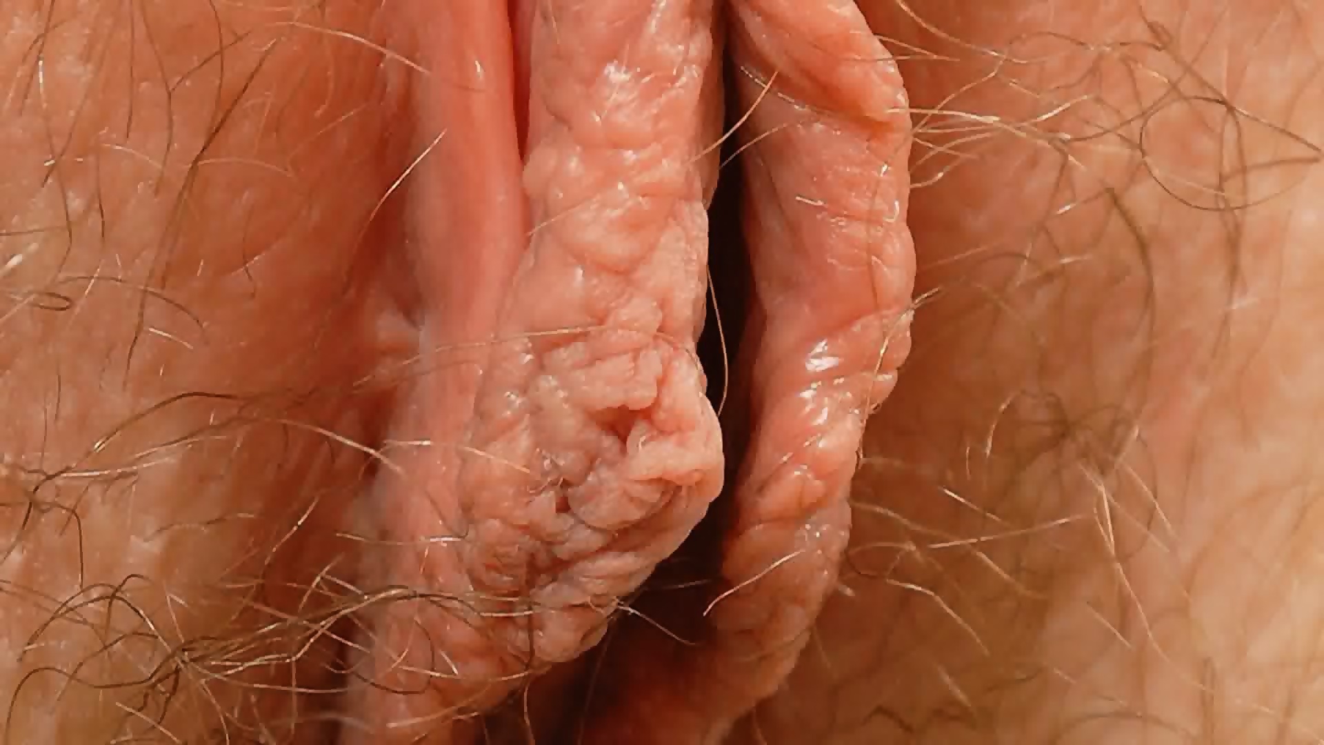 close up hairy pussy pics - wifeys wirld latestporn hd