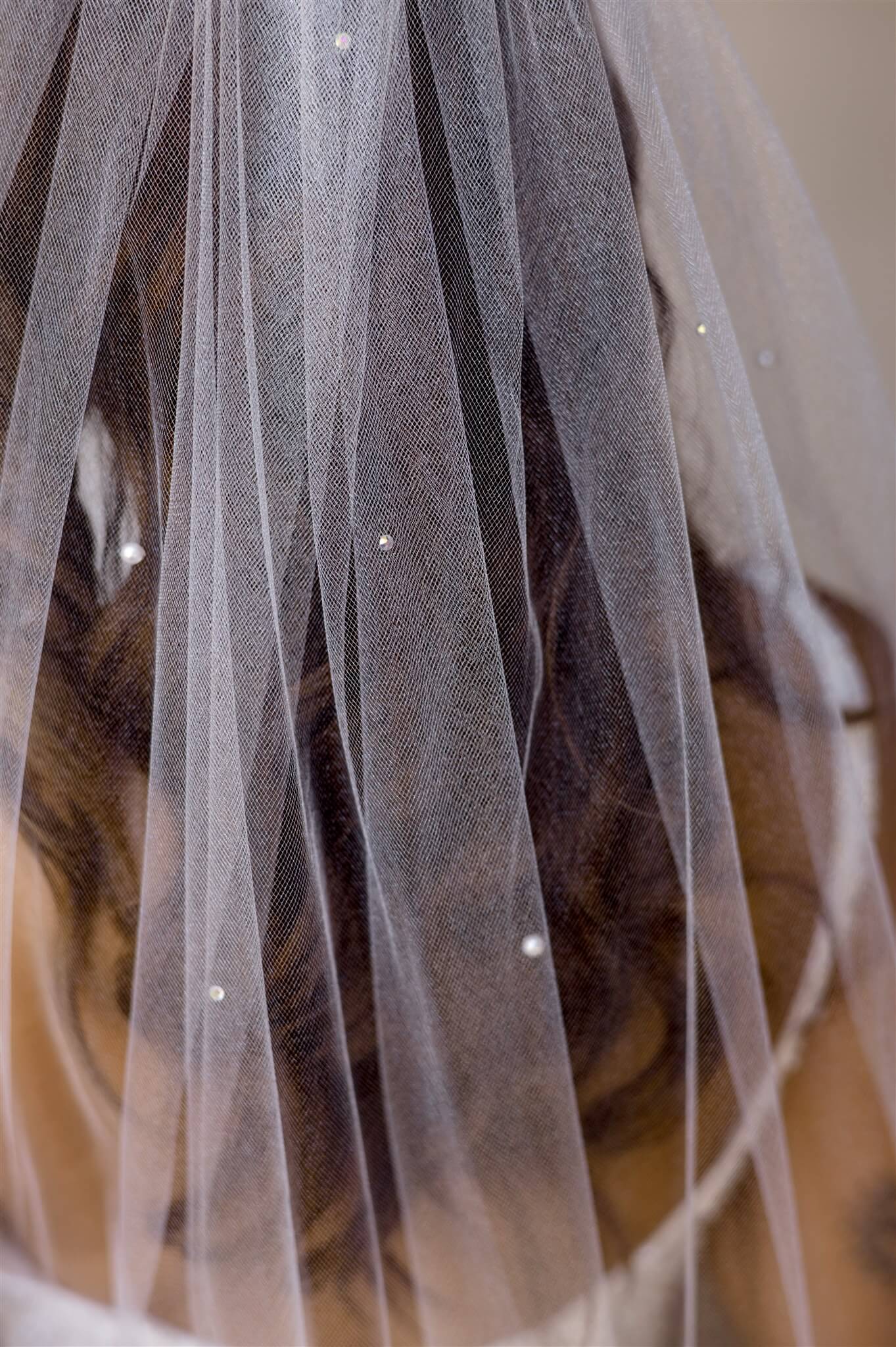 davood eslami like bride alexis crystal photo dilip zaveri recommends coco vandi xxx pic