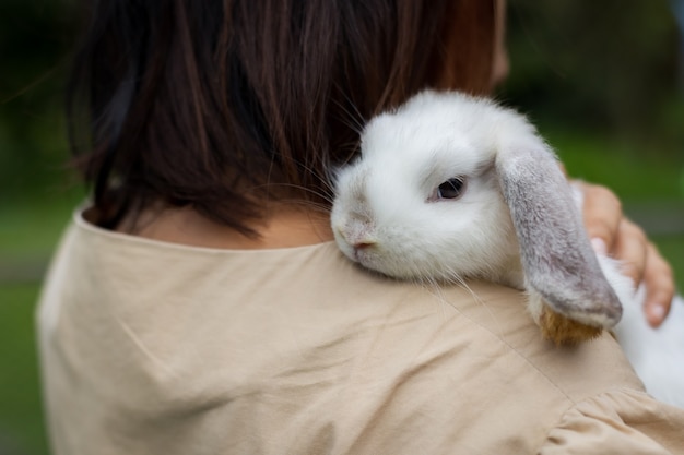 Best of Asian bunnies