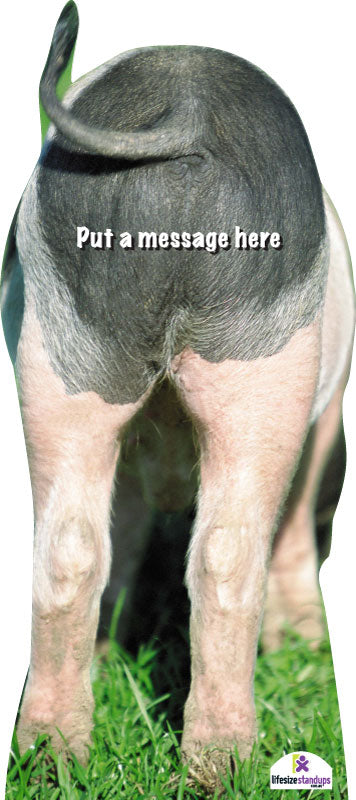 Anal Pigs live vidoes donna timm recommends Anal Pigs