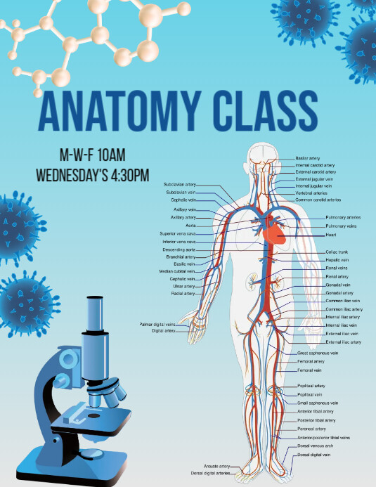 anatomy class porn - boys speedos isabella asmr porn