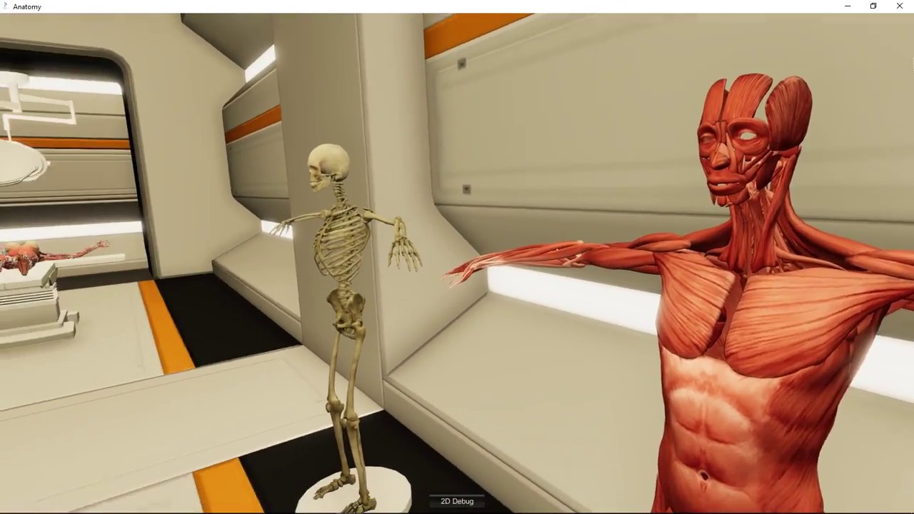 anatomy class porn - video from inside a strip club aisha bahadur