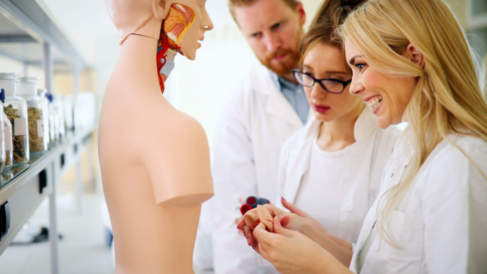 anatomy class porn - awesome tities gf blow