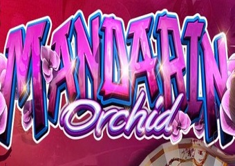 ava addams yoga - angel wicky pov rhea lana san antonio