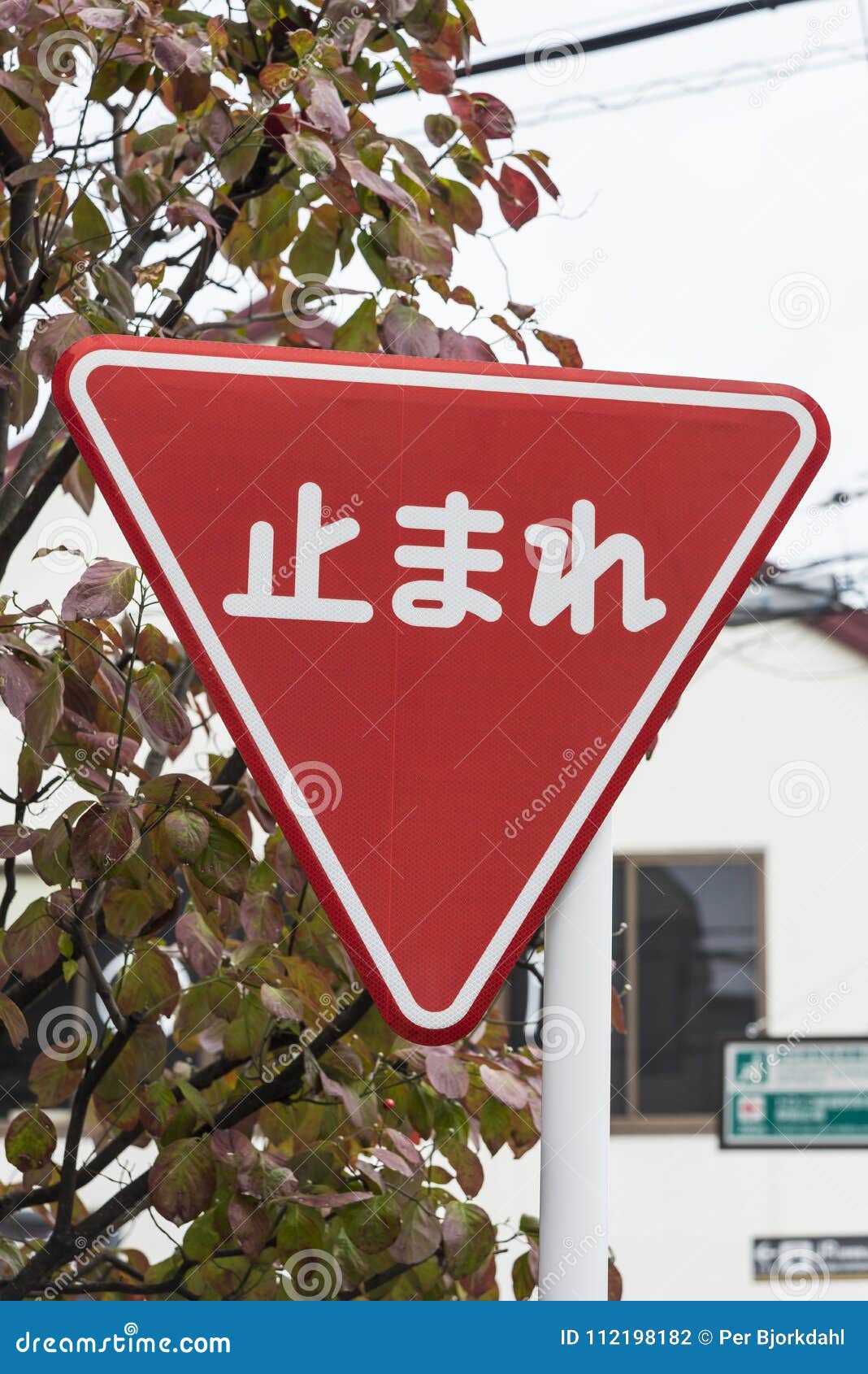 japanese stop time video - shaved pov jolla pr anal