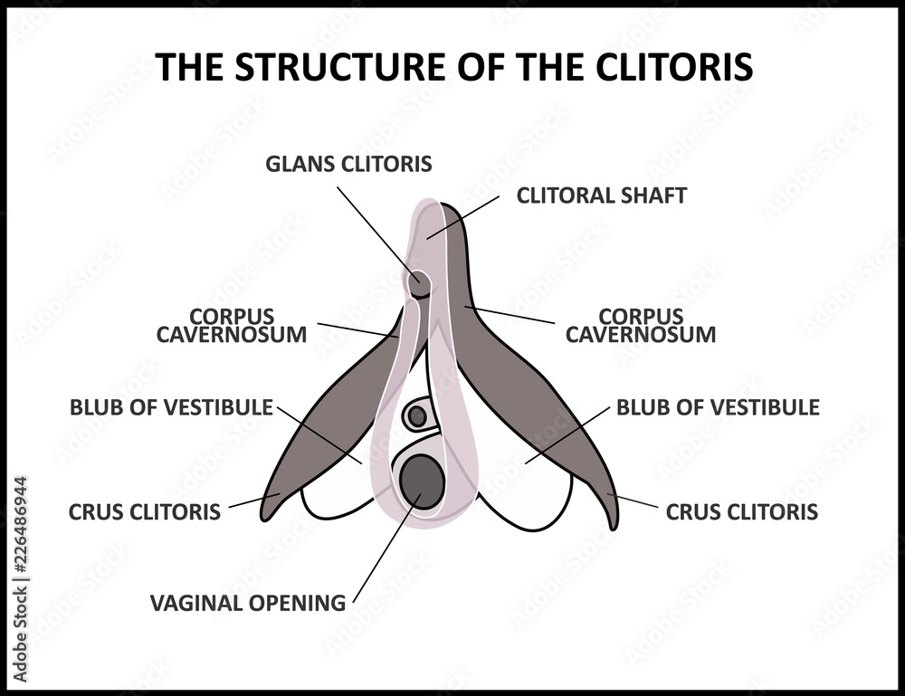 dana al salem recommends Black Clitors