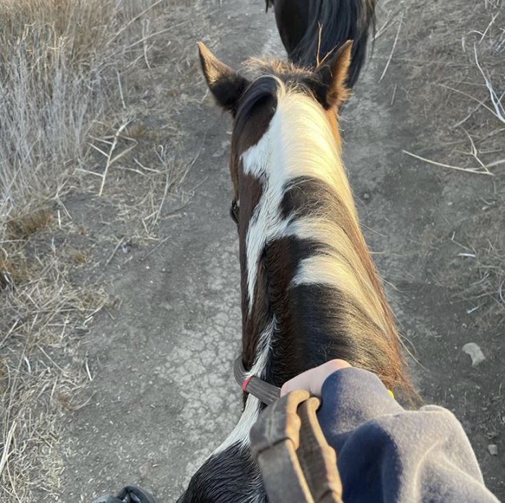 blake dover recommends Corinna Kopf Riding