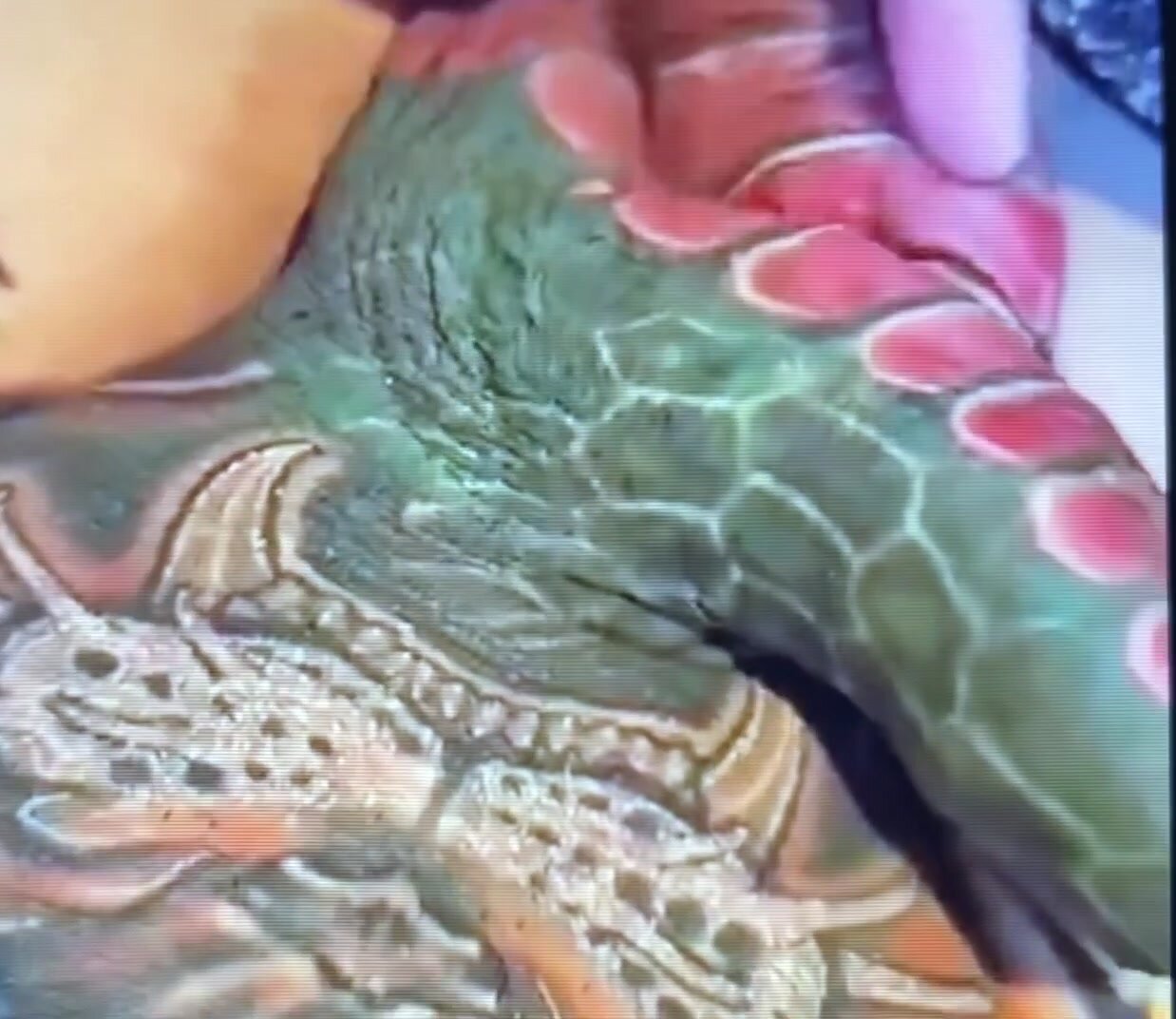 dragon tattoo on cock