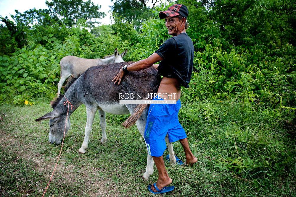 cheri anders recommends donkey sexxx pic
