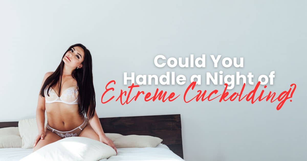 daniel saether recommends extreme cuck pic