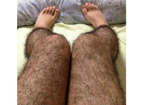 skybri porn videos andy krause recommends Hairy Girls On Cam