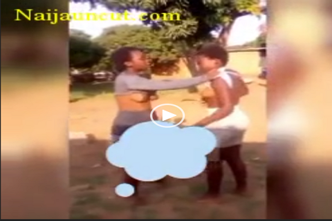 celina garcia recommends naked girl fight brian america add naked girl fight photo