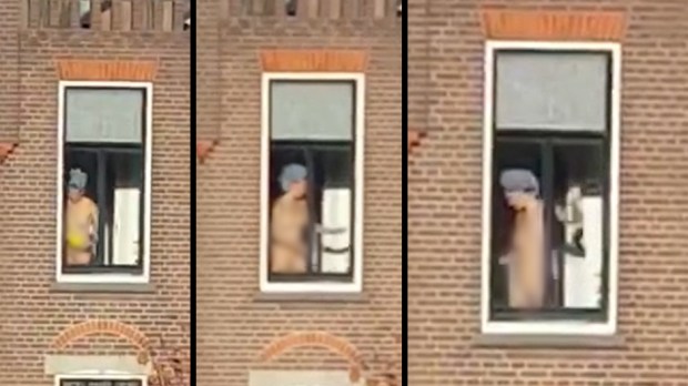 david foland add photo nude by the window