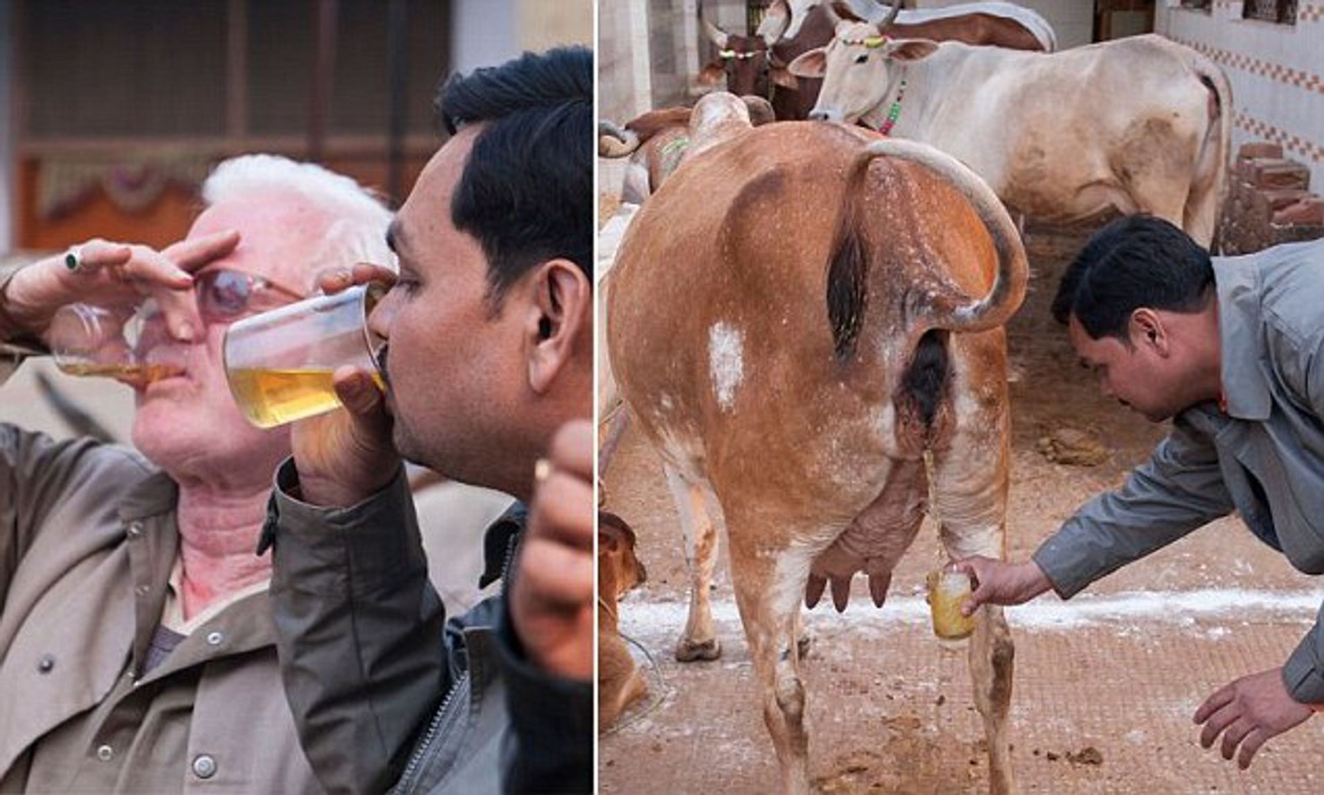 abu taher sharif recommends Piss Drink