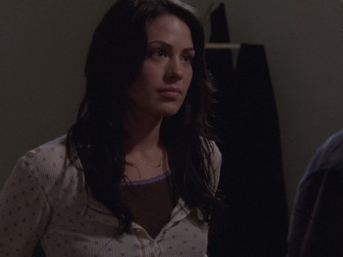 ayman algamal like tell me you love me michelle borth photo allan baber recommends tell me you love me michelle borth pic