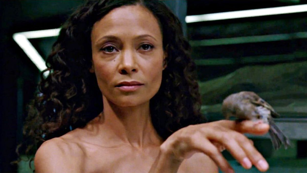 chan herman recommends thandie newton body pic